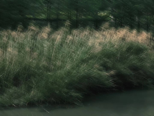 1615535201865087288.jpg