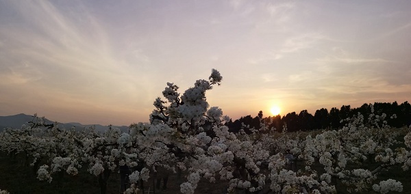 微信图片_20210322101954.jpg