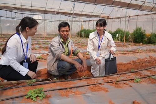 1618279049427057685.jpg 20210409112929582.jpg