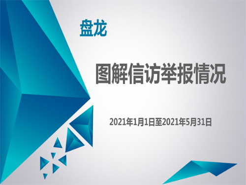 盘龙：图解信访举报情况（2021年1至5月）_01_副本.png