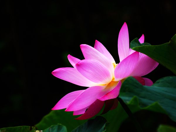 孙毅摄2-文化和旅游局_副本_副本.jpg