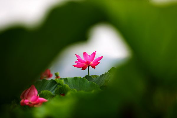 微信图片_20210702143938-黄德荣-拖布卡_副本_副本.jpg