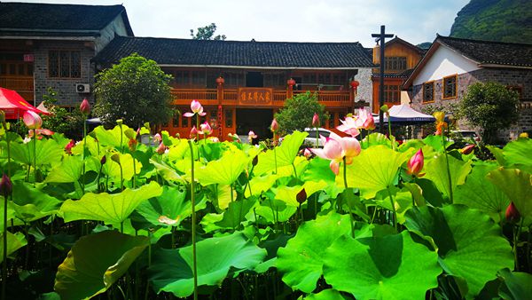 微信图片_202107061146341-唐兴波_副本_副本.jpg