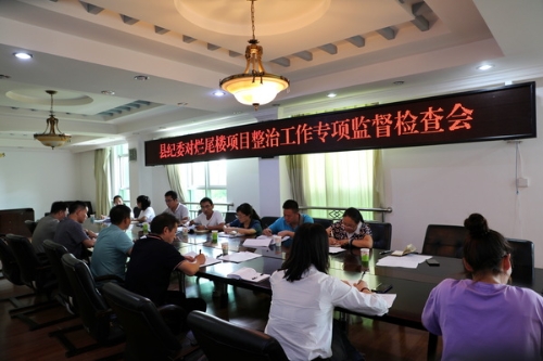 专项监督检查推进会.jpg