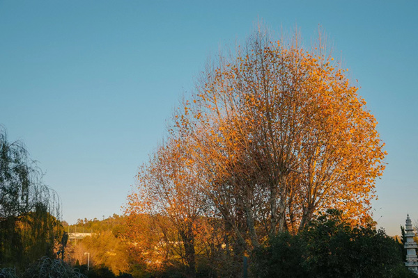 1638781497466014352.jpg 67badc4a425b87ab3d321d0dbf018df.jpg