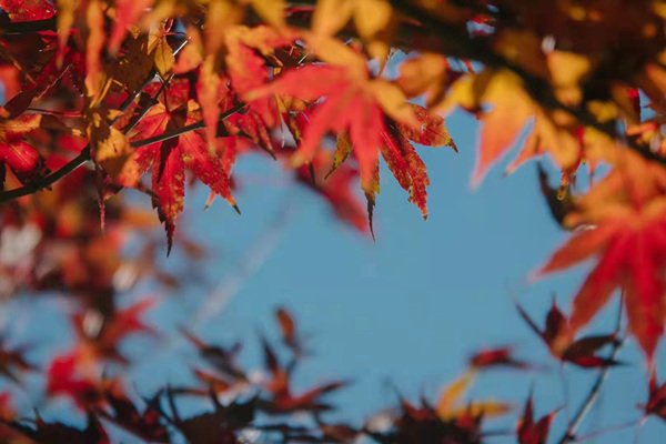 1638781549396047328.jpg 18f677b73a76b61c6ac48c6d5d1a2d0.jpg