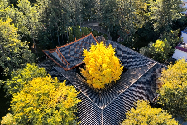 微信图片_202111121633005_副本.jpg