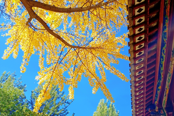 微信图片_202112081039555_副本.jpg