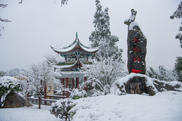 微信图片_20211207092900_副本.jpg