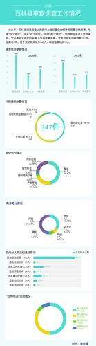 图解石林县2021年审查调查工作情况（普兴福）.jpg