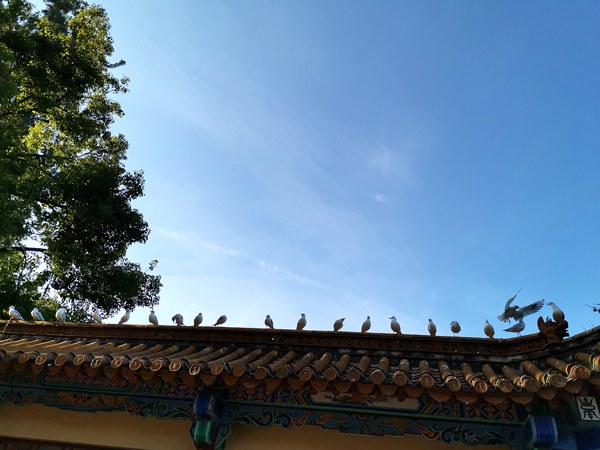 工科信罗选瑞_副本.jpg