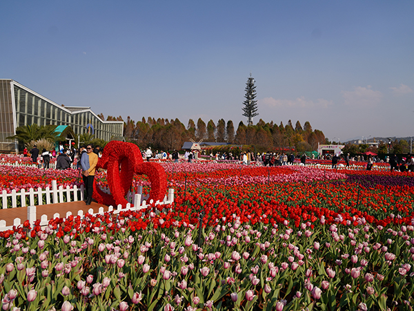 DSC08319.jpg
