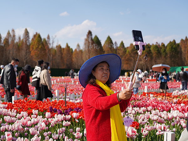 DSC08280.jpg