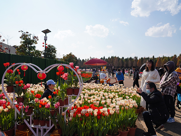 DSC08240.jpg