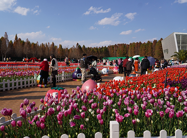 DSC08266.jpg