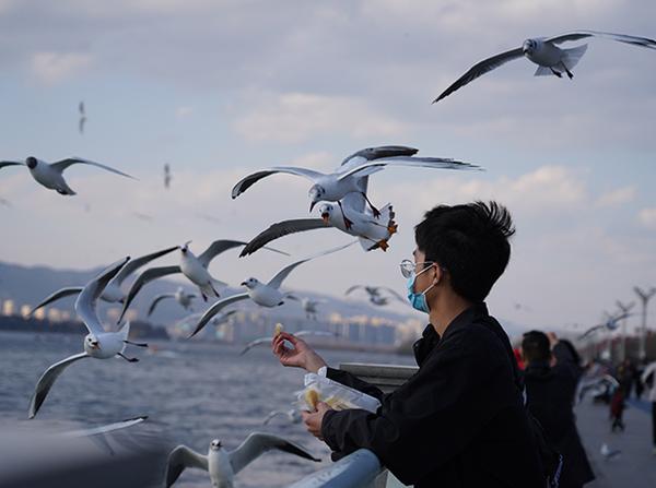 DSC08079.jpg