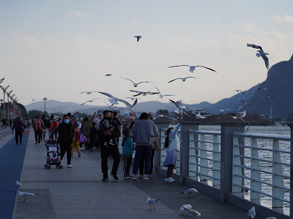 DSC08130.jpg