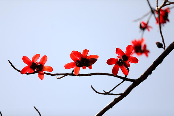 1647481875157076802.jpg 吴建坤_副本.jpg