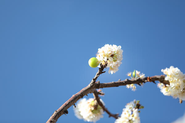 1647481965066066834.jpg 胡金喜_副本_副本.jpg