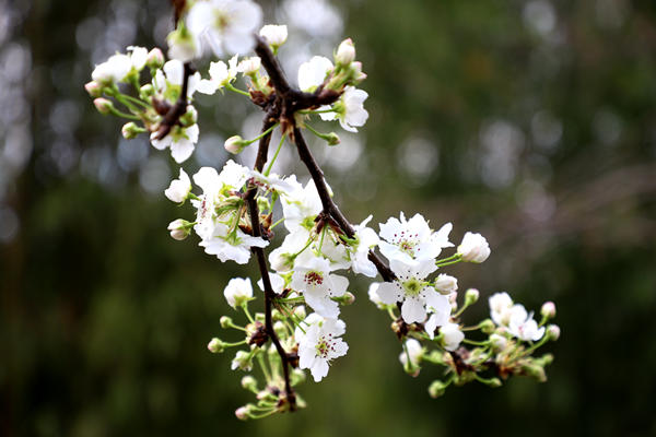 1647481979207001275.jpg 胡东_副本.jpg