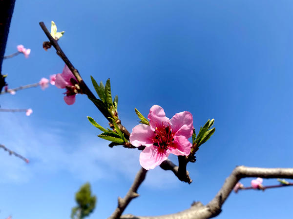 1647481986613053438.jpg 靳文元.jpg