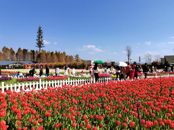 1647482517340076740.jpg 王春丽_副本.jpg