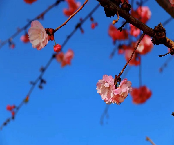 a0739fd7fbda70913a0527cc09e72a3.jpg