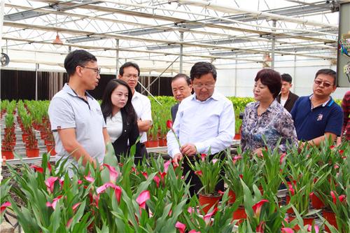 1504776972825023110.jpg 1.jpg