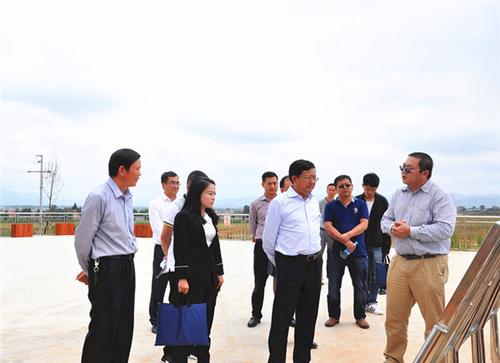 1504776978808073198.jpg 2.jpg