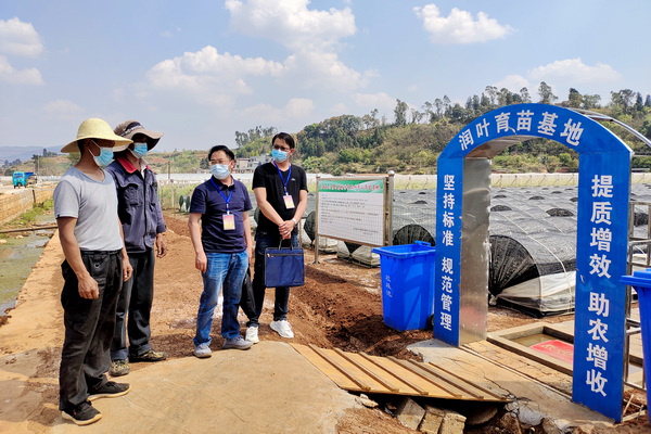 板桥街道纪工委实地督查走访烤烟大棚育苗情况，为烟农增收提前做好保驾护航。.jpg