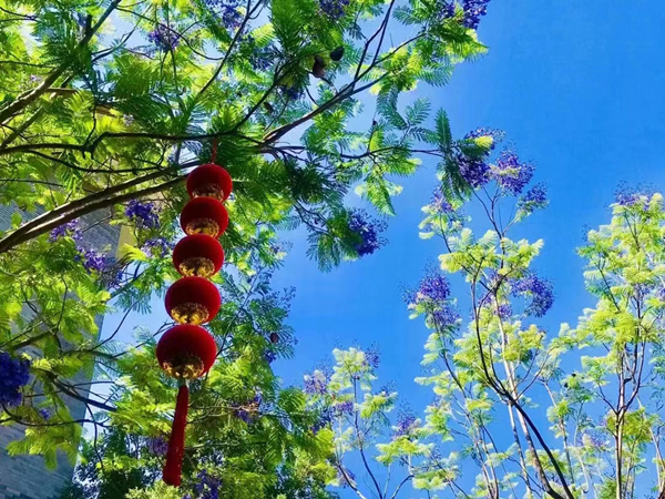 7_副本.jpg