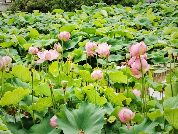 7_副本.jpg