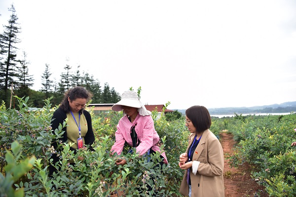 DSC_8573（小）3.jpg