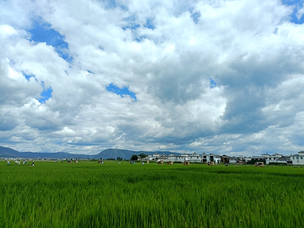 党校 岳晓萍_副本.jpg