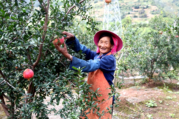 阿旺镇陈普芹_副本.jpg