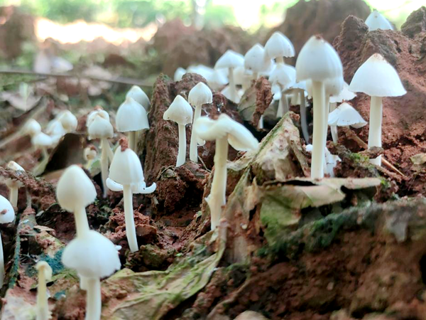 图片159_副本_副本.png