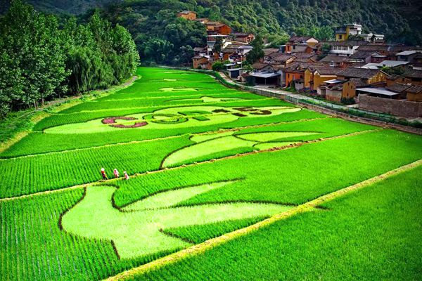 10. 文旅局 张宇曼_副本.jpg