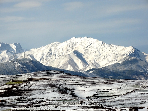 文旅局 陈文高_副本.jpg