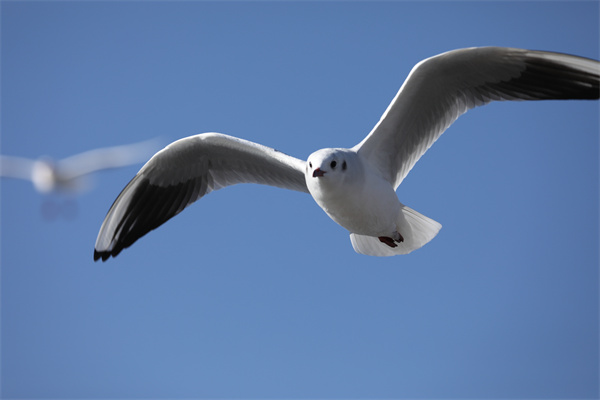 9H0A2129_副本.jpg