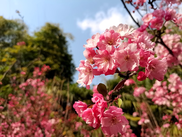 司法局 黄艳 13529042949 (3)_副本.jpg