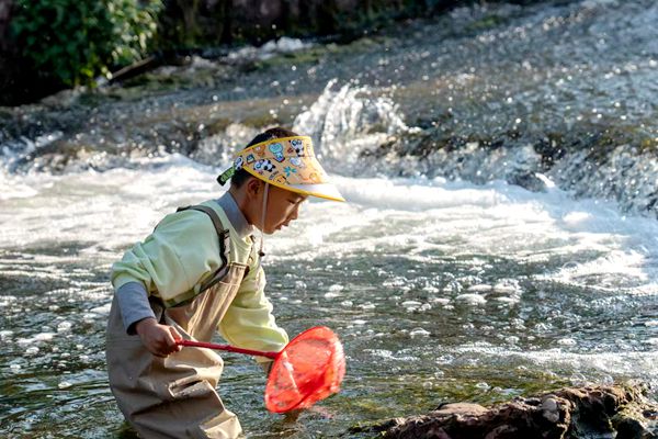 1682413434693076251.jpg 商务投促局-张永艳1.jpg