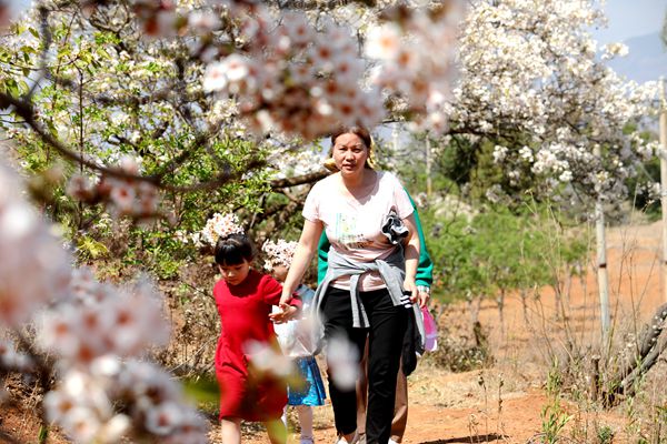 1682413521217072440.jpg 胡金喜_副本.jpg