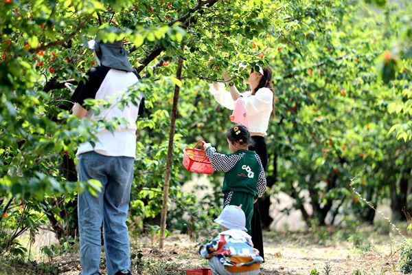 1682413906131096700.jpg 吴建坤_副本.jpg