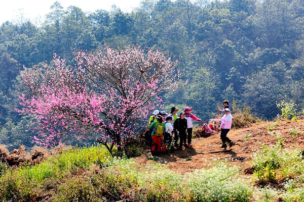 1682413942047001391.jpg 踏青--东川法院--李俊摄 (2)_副本.jpg