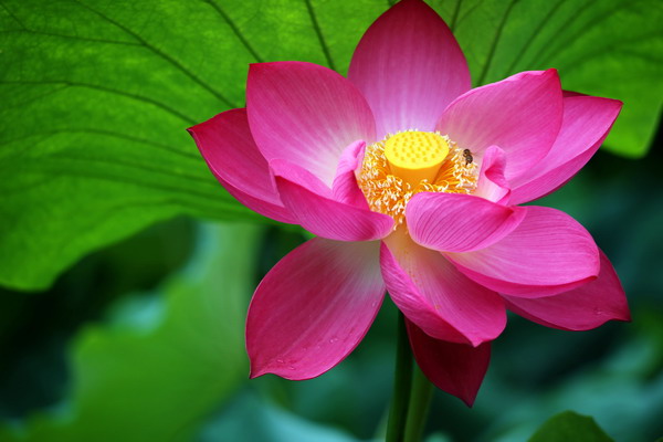微信图片_<span style='background-color:;'>2023062615342218</span>.jpg