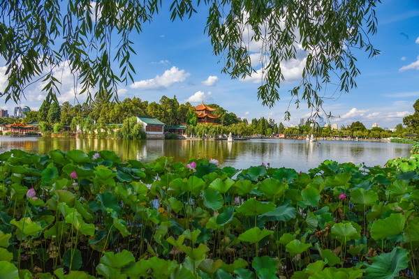 【荷滿大观园】组照1  映象社区  黄小弟  <span style='background-color:;'><span style='background-color:;'>13648833156</span></span>.jpg
