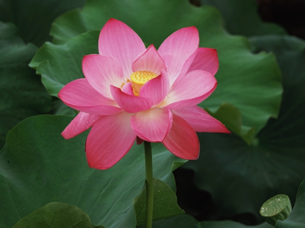 d6fec26492619c3ef2f842c5169da97_副本.jpg