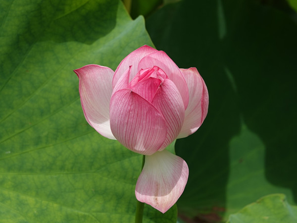 IMG_20230705_213039_副本.jpg