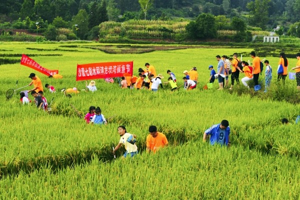 6.赵红岸.jpg