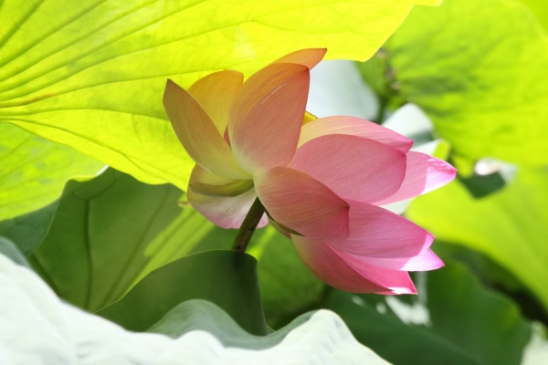 1693897989371081573.jpg 1693897989371081573.jpg